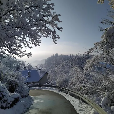 Haus Annette Weisweil (Klettgau)