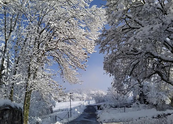 Haus Annette * Weisweil (Klettgau)